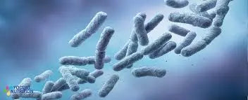 Microbioma e Postbiotici: il segreto "invisibile" per una pelle senza imperfezioni
